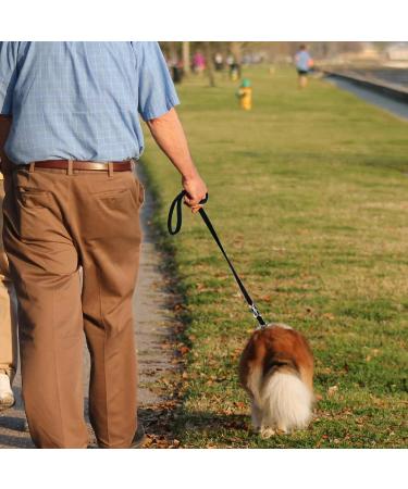 Dog Training Double Ended Leads : 2m Hands Free Adjustable Pet Training leash for Running Walking - Retractable Multifunctional Strong Nylon Puppy Lead Rope for Small Medium Dogs - Buy Online on GoSupps.com