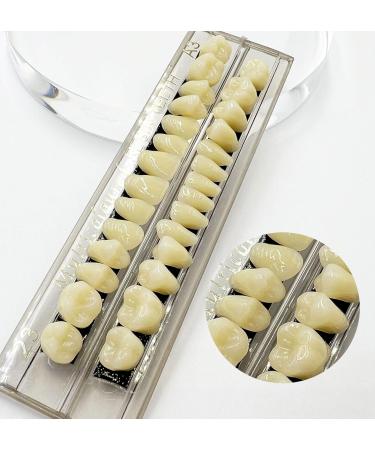 56 Pcs False Teeth Fake Teeth 2 Sets Synthetic Resin Dental Tooth Upper Lower Denture Tooth Party Horror Prop Makeup DIY Replacement 23 A3 - Buy Online on GoSupps.com