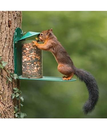 Green Metal Wild Squirrel Feeder - Garden squirrel feeding for wildlife Discourage squirrels from raiding and damaging bird feeders by providing them with their own dedicated feeder. - Buy Online on GoSupps.com
