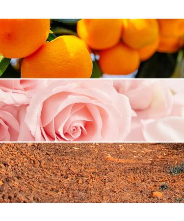 Cologne for Men - Enchanting Eau de Perfume - Long Lasting Pheromones Eau Perfumes Elegant and Fresh Fragrance to Unleash Masculinity 55ml/1.86 Fl.Oz Black - Buy Online on GoSupps.com