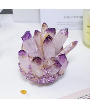 Natural Amethyst Crystal Geode Amethyst Cluster Point Druzy Specimen Amethyst Raw Rock Crystal Stone Collection Decor Gift 700-800g QINTINYIN Full of Texture - Buy Online on GoSupps.com