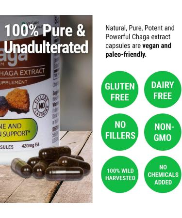 Sayan Siberian Chaga Mushroom Extract Capsules - 90 Wild Harvested 420mg Vegan Supplement for Immune Defense, Better Sleep, Stomach Health & Detox - Buy Online on GoSupps.com