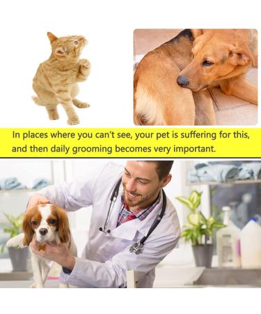 Pawfect Pet Metal Fine Tooth Comb Set for Cats and Dogs - Remove Lice, Fleas, Tear Marks, Dandruff - Buy Online on GoSupps.com
