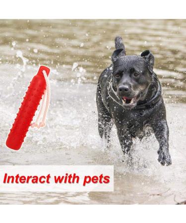 Holoras Dog Swimming Toys - Interactive Retriever Dummies for Small Medium & Large Dogs | Best Pool & Training Toys - Buy Online on GoSupps.com