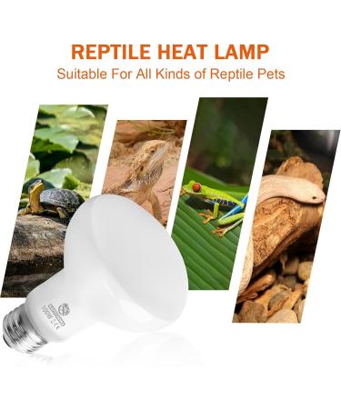 REPTI HOME Reptile Heat Lamp Bulbs 2 Pack 100W Heat Lamp for Reptiles E27 Basking Light Bulb for Vivarium Turtle Lizard Tortoise Bearded Dragon Puppy Chick - Buy Online on GoSupps.com