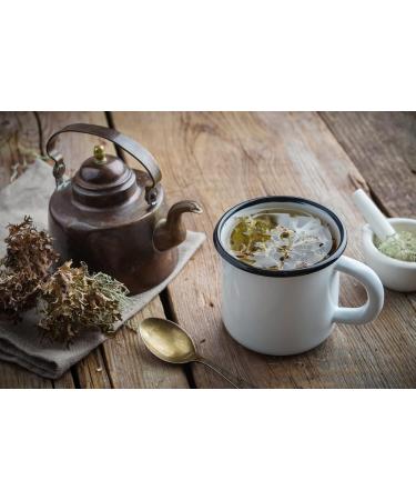  TASTY POTT Tasty Pott Organic Dried Icelandic Moss | Teapot | Nordic Herbs | Herbal Tea | Icelandic Moss | Vegan Food | Tea | Tea | In a 500g bag - Buy Online on GoSupps.com