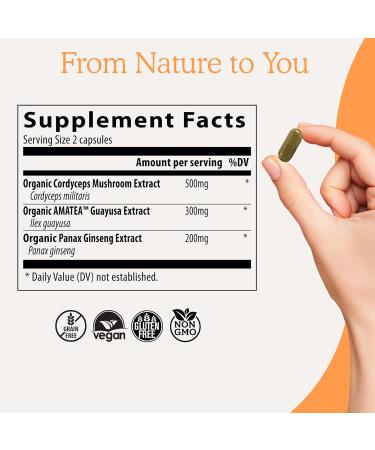 Real Mushrooms RealBoost (60ct) and Lions Mane (120ct) Capsules Bundle - Mushroom Supplement for Energy Vitality & Cognition - Energy & Brain Vitamins w/Cordyceps Ginseng Guayusa - Vegan Non-GMO - Buy Online on GoSupps.com