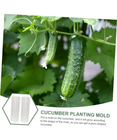 Milisten Garden Fruit Mould 2pcs Vegetable Shaping Mold Cucumbers Cucumber Shaping Mold Vegetable Shaper Mold Planting Supplies - Buy Online on GoSupps.com