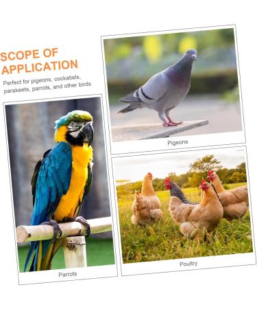 Ipetboom Baby Stuff 200 Pcs Pigeon Anklet Baby Clips Bird Ring Chicken Foot Ring for Pigeon African Gray Parrot The Bird 1.3X1.3CMx2pcs Orangex2pcs - Buy Online on GoSupps.com