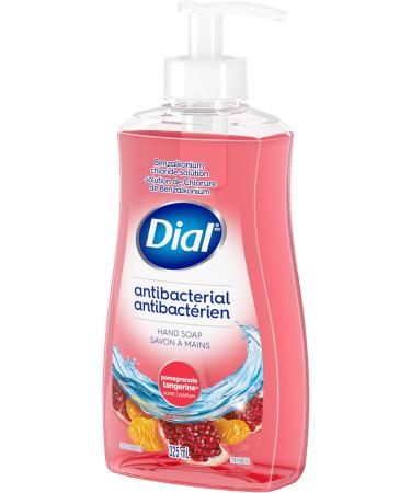 Dial Antibacterial Liquid Hand Soap Pomegranate Tangerine 325ml Tangerine 325 ml (Pack of 1) - Buy Online on GoSupps.com