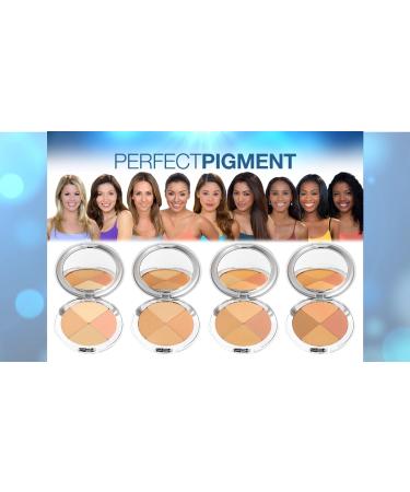 Christina Cosmetics Perfect Pigment 4 Compact - One Minute Miracle Makeup - Buy Online on GoSupps.com