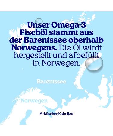 Arctic Blue Omega 3 Fish Oil 250ml - MSC Certified High DHA & EPA No Fish Smell Orange Flavor - Buy Online on GoSupps.com