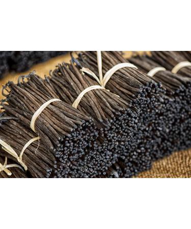 UGANDA Vanilla Pods Premium - 10 Pods, 15-18cm | High-Quality Vanilla Beans - Buy Online on GoSupps.com