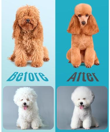 oneisall Professional Dog Clippers for Thick Hair - Heavy-Duty Cordless Grooming Clippers with Metal Blade for Cockapoo - Blue - Buy Online on GoSupps.com