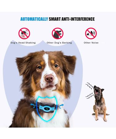 Anti Bark Collars For Dogs Dog Bark Collar With Vibration & Variable Beep Modes For Small Medium Large Dogs Rechargeable IP67 Waterproof Humane Stop Barking Blue - Buy Online on GoSupps.com