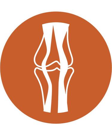 FRISKIES Cat - Adult - Chicken and Vegetables - 4kg - Pack of 4 - Buy Online on GoSupps.com