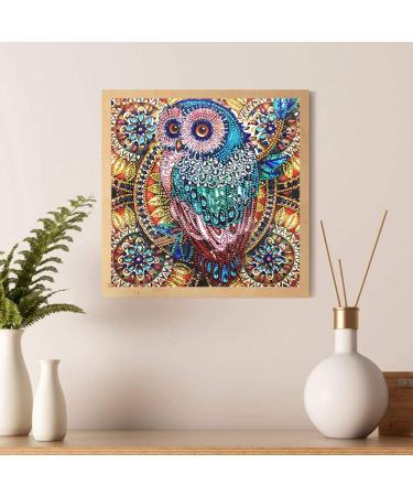 Hibah 5D Owl Partial Diamond Painting Set - Mandala Design | Special Shape Rhinestone DIY Kit - Buy Online on GoSupps.com