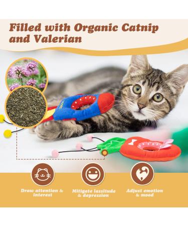 Nobleza Catnip Toys for Cats 2 Pack Interactive Cat Toys for Indoor Cats Adult Rocket Carrot Shape Kitten Soft Plush Chew Teeth Cleaning Toy Chewing Grinding Cat Nip Toys with Crinkle Paper - Buy Online on GoSupps.com