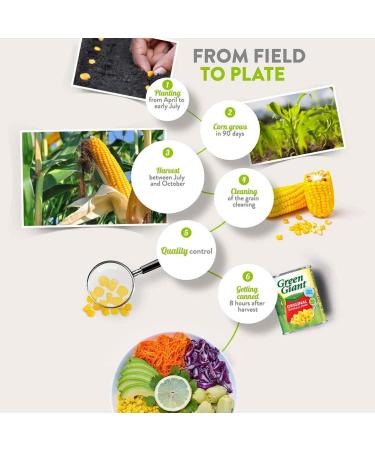 Green Giant Niblets No Added Salt or Sugar 198g - Buy Online on GoSupps.com
