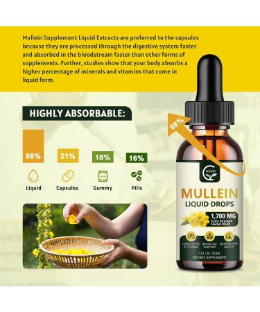 GORNVB (2 Pack) Mullein Drops for Lungs - Lungs Cleanse and Respiratory Support Powerful 4 in 1 Mullein Leaf Extract with Elderberry Marshmallow Root and Orange Peel for Bronchial Support 1 Fl Oz - Buy Online on GoSupps.com