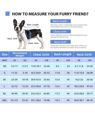 Buy Cit toile Shark Dog Life Jacket - Safe & Light Vest with Handle for Small to XXL Dogs - Reflective & Stylish for Water Sports - Buy Online on GoSupps.com