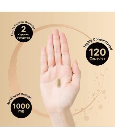 Tongkat Ali 200:1 Extract 1000mg | 120 Capsules for Energy, Stamina & Immune Support | Long Jack (Eurycoma Longifolia) | Indonesia Origin | Non-GMO - Buy Online on GoSupps.com