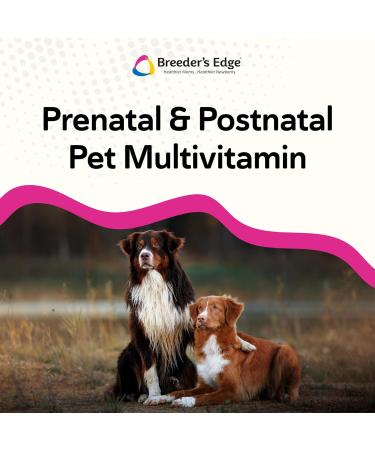 Breeder s Edge Breed to Wean Prenatal and Postnatal Multivitamin for Dogs & Cats Supports Pregnant & Nursing Moms Supplement Provides Antioxidants Vitamins & Minerals 100ct for Medium & Large Dogs 100ct Medium & Large Dog - Buy Online on GoSupps.com