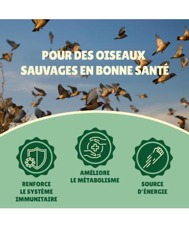 Dried Flour Worms 5 kg Au Comptoir de No 100% Natural Rich in Protein and Good Fats to Fat Flour - Buy Online on GoSupps.com