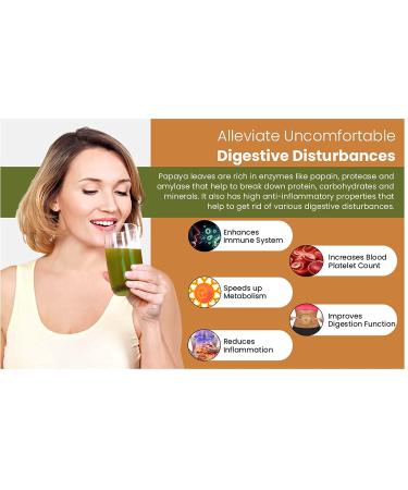 Papaya Leaf Powder 16 oz - 100% Pure Leaves, Ideal for Tea and Juice, Dried from Fresh Green Leaves - Way4Organic - Buy Online on GoSupps.com