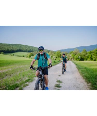 Pure Original Ingredients Fo-Ti (365 Capsules) No Magnesium Or Rice Fillers 365 Count (Pack of 1) - Buy Online on GoSupps.com