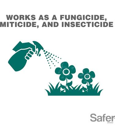 Safer Brand Neem Oil Concentrate Insecticide Miticide Fungicide for Plants | Organic OMRI Listed Solution for Insects, Mites, and Fungal Disease - Buy Online on GoSupps.com