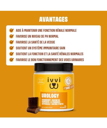 ivvi Urology - Dog Urinary Tract & Kidney Health Snacks. Contains Marshmallow Cranberry D-Mannose Vitamin C Licorice Astragalus Nettle. 60 Snacks (270g) with 30% Chicken - Buy Online on GoSupps.com