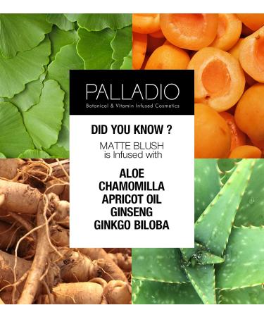 Palladio Matte Blush - Smoothly Brushes onto Cheeks for a Soft, Even Finish in Berry Pink - Buy Online on GoSupps.com