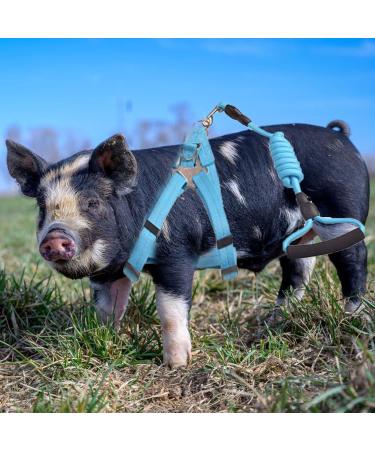 Woyous Adjustable 2-Part Animal Dishes Set for Small Pets - Pink & Blue - Ideal for Pigs Dogs and Rabbits - Perfect for Walking & Playing - Buy Online on GoSupps.com