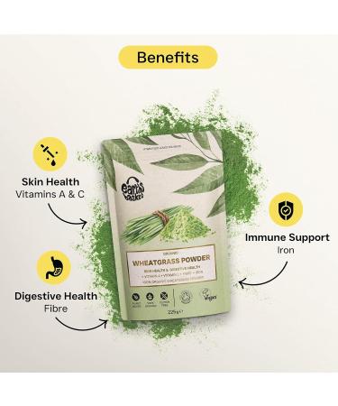 Organic Wheatgrass Powder 225g for Energy & Skin Health | Earths Basket - Buy Online on GoSupps.com