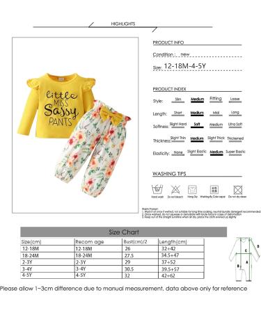 Puseky Toddler Baby Girls Cute Letter Print Long Sleeve Shirt Floral Pant Outfit Set 12-18 Months - Yellow + Floral - Buy Online on GoSupps.com