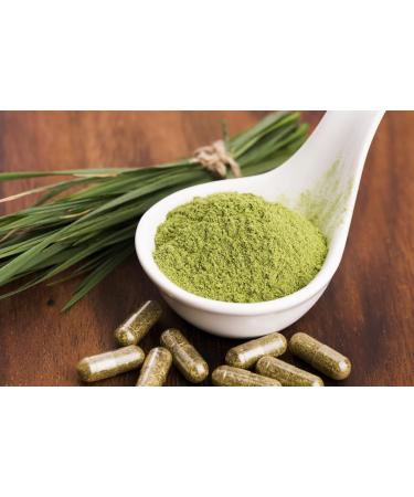 Organic Barley Grass Powder 500g - 1.1lb | Vegan & Non-GMO | Pure Superfood Blend for Cocktails - Buy Online on GoSupps.com