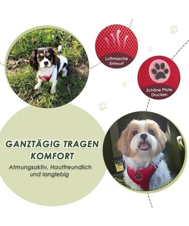 Slowton Dog Harness with Safety Belt for Car - Breathable Durable Red XXXS | Includes 2 Carabiner Hooks - Buy Online on GoSupps.com