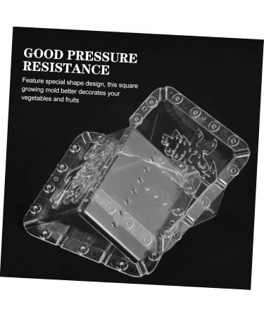 Mipcase 2pcs Square Apple Molds Fruit Vegetable Molds for Gardening Melon Stereotypes Plastic - Buy Online on GoSupps.com
