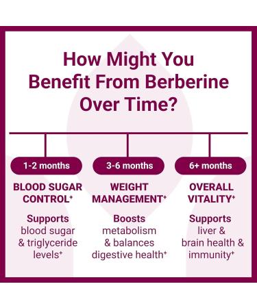 VXICDE Berberine HCl 500mg Wirh Mulberry Leaf Extract 150mg 60 Vegetarian Capsules - Gluten Free & Non-GMO - Buy Online on GoSupps.com