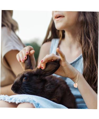 Levemolo 5pcs Animals Salt Cattle Salt Lick Salt for Animals Licking Salt Brick Pet Rope - Buy Online on GoSupps.com