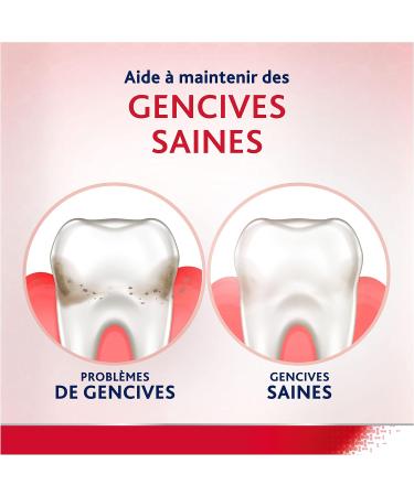 PARODONTAX - Bain de Bouche Quotidien Complete Protection - 8 B n fices pour des Gencives Saines & des Dents Fortes - Combat les Bact ries de la Plaque Dentaire - 0% Alcool - Menthe Fra che - 2x500 ml - Buy Online on GoSupps.com