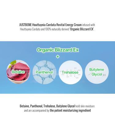 JUSTBEME Houttuynia Cordata Revital Energy Cream/Hydrating Face Moisturizer for Dry Sensitive Skin Korean Skincare for Men and Women (50ml / 1.09 fl oz) - Buy Online on GoSupps.com