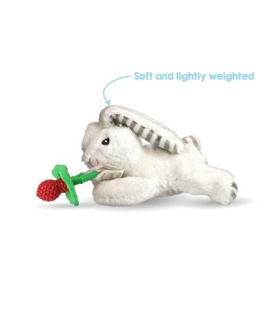 RAZBABY Razbuddy Razberry Teether/Pacifier Holder with Removable Baby Teether Toy - BPA Free - Bunny Design | 0M - Buy Online on GoSupps.com