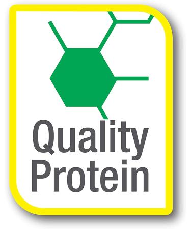 Tetra ReptoMin Floating Food Sticks 10.59 Ounces  For Aquatic Turtles  Newts And Frogs - Buy Online on GoSupps.com