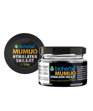 Shilajit R sine 600 mg 20g par BIOHERBA Extrait pur de Mumijo avec Chrome | Compl ment v g tal en p te | M tabolisme & routine quotidienne 1 Pi ces