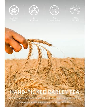  TeeLux TeeLux Pack of 50 Barley Tea Bags Roasted Barley Caffeine-Free Mugicha Herbal Tea Ideal Coffee Alternative in Japan - Buy Online on GoSupps.com