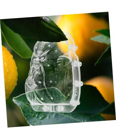 Happyyami 5pcs Fruit Shaping Watermelon Transparent Forming Stereotypes Ginseng Fruit - Buy Online on GoSupps.com