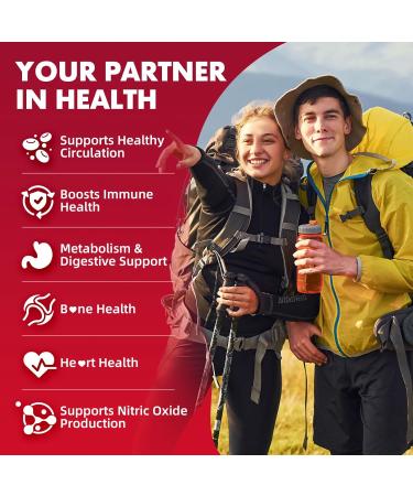 2 Pack Cayenne Pepper Beet Root Gummies with Beetroot Garlic CoQ10 Hawthorn Berry Grape Seed Extract Olive Leaf Nattokinase Hibiscus Vitamin D Nitric Oxide Support Overall Wellness 120 Count - Buy Online on GoSupps.com