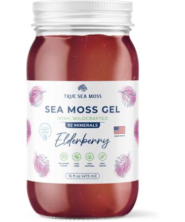 TrueSeaMoss Sea Moss Gel - Alternative Form of Sea Moss - Elderberry Irish Sea Moss Gel - Sea Moss Gel Organic Raw - Made in the USA - Elderberry Sea Moss Gel 473 ml (16 Fl Oz)